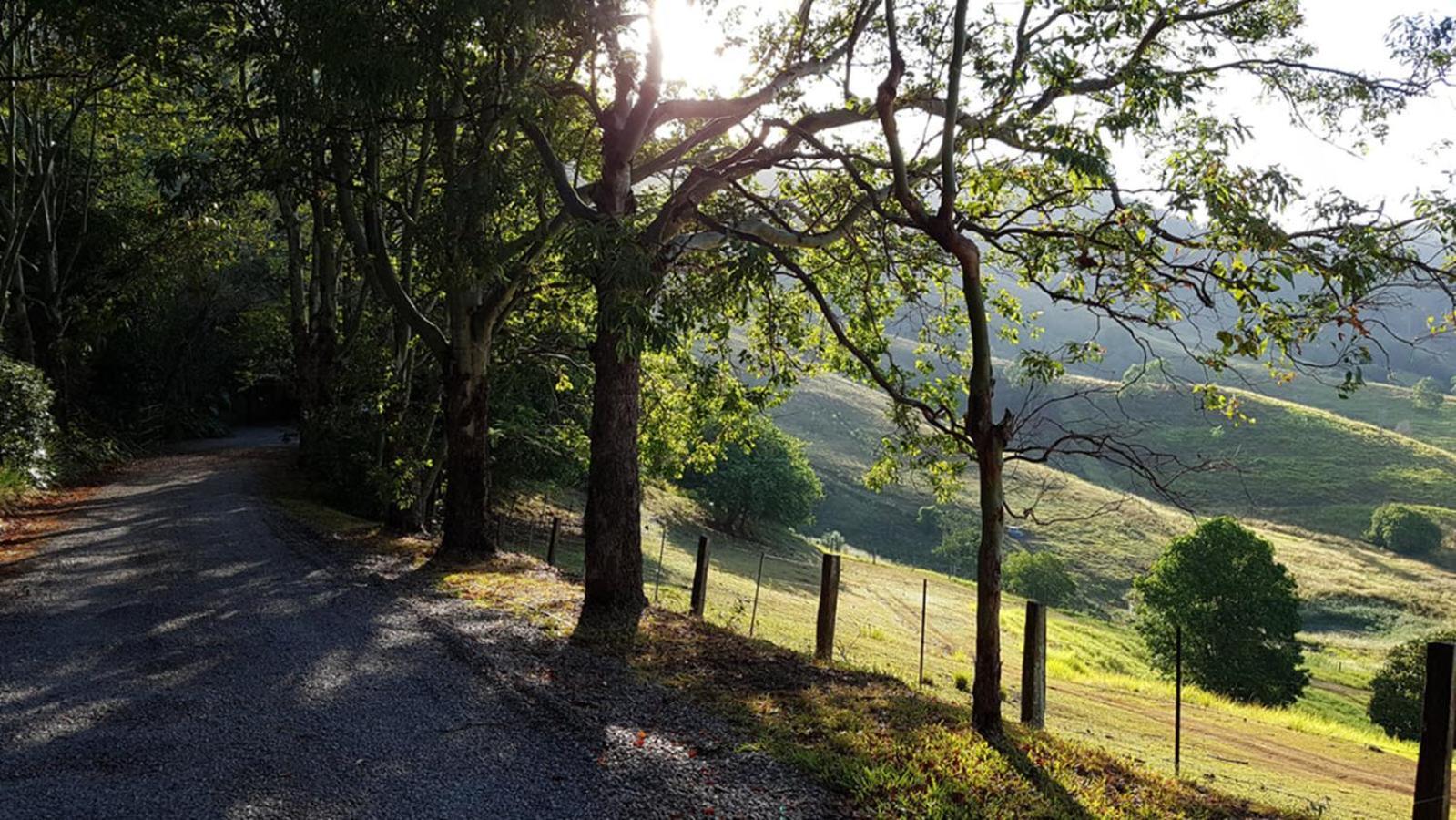 Dayboro Cottages Esterno foto
